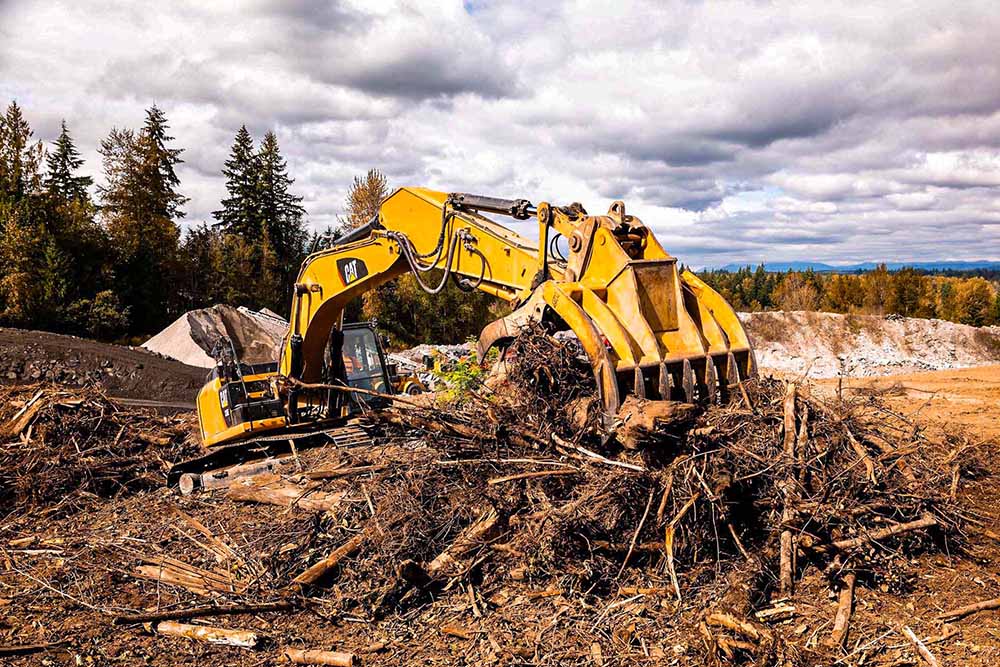 Clearing out trees and brush